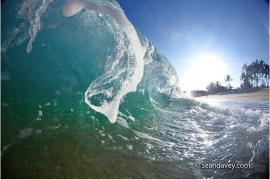 Oceans