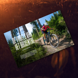 Up/Down Mountainbike Magazine #4 2022