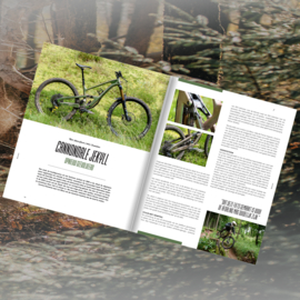 Up/Down Mountainbike Magazine #3 2021