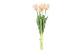 Tulp (parkiet) Boeket Roze/Wit