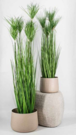 Kunstplant cycas gras