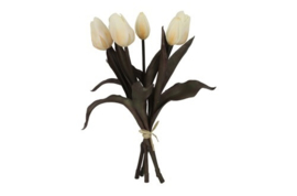 Tulp Boeket Wit