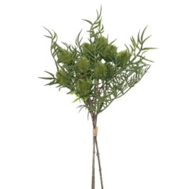 Pinus boeket groen (leuk voor in een tulpen boeket)