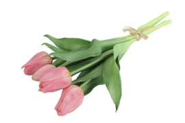 Tulp Boeket Roze
