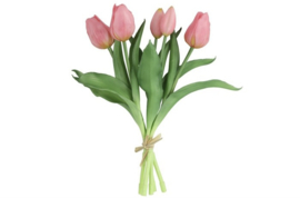 Tulp Boeket Roze