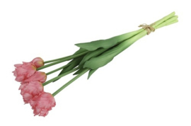 Tulp (parkiet) Boeket Roze