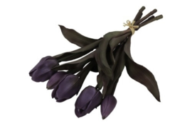 Tulp Boeket Paars