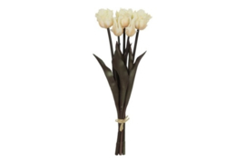 Tulp (parkiet) Boeket Wit