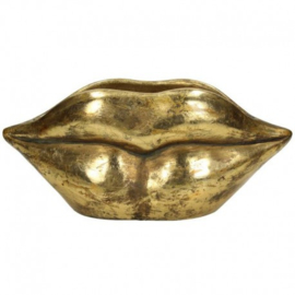 Bloempot Gouden Lippen