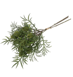 Pinus boeket groen (leuk voor in een tulpen boeket)