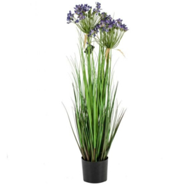 Kunstplant gras allium 80cm