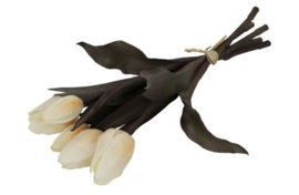 Tulp Boeket Wit