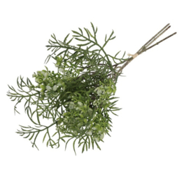 Brassica boeket groen (leuk voor in een tulpen boeket)