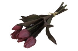 Tulp Boeket Fuchsia