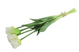Tulp (parkiet) Boeket Wit