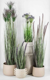 Kunstplant gras allium 80cm