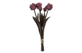 Tulp (parkiet) Boeket Fuchsia