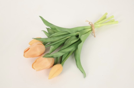 Tulp Boeket Zalm