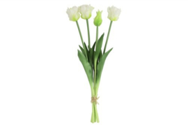 Tulp (parkiet) Boeket Wit