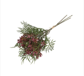 Brassica boeket (leuk voor in een tulpen boeket)