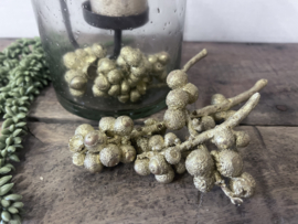 Gouden eikeltjes
