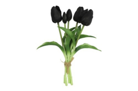 Tulp Boeket Zwart