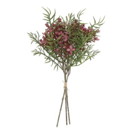 Brassica boeket (leuk voor in een tulpen boeket)