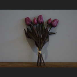 Tulpen boeket 5 stelen Fuchsia