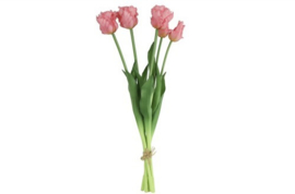 Tulp (parkiet) Boeket Roze