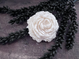 Amberblok Roos - White Musk