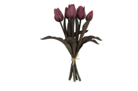 Tulp Boeket Fuchsia