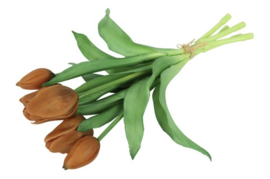 Tulp Boeket Oranje