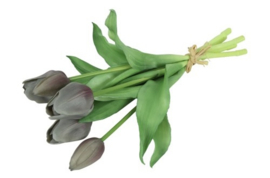 Tulp Boeket Grijs