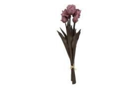 Tulp (parkiet) Boeket Roze
