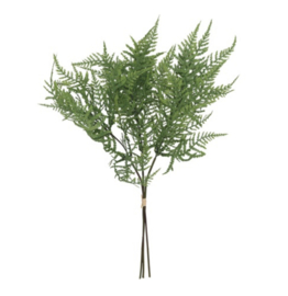 Asparagus boeket groen (leuk voor in een tulpen boeket)
