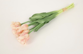 Tulp (parkiet) Boeket Roze/Wit