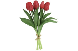 Tulp Boeket Fuchsia