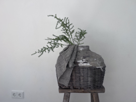 Wilde Asparagus kunsttak