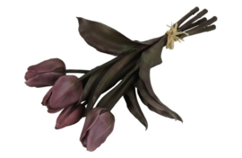 Tulp Boeket Donker Roze