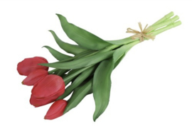 Tulp Boeket Fuchsia