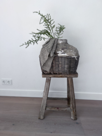 Wilde Asparagus kunsttak