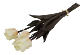 Tulp (parkiet) Boeket Wit