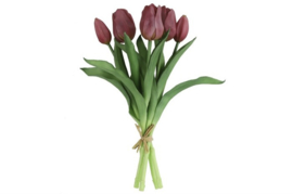 Tulp Boeket Paars