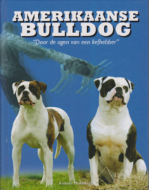Amerikaanse Bulldog - Armand Muilenburg