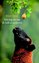 Een dag om aan de balk te spijkeren - Rinus Spruit