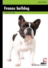 Franse bulldog - Adriaan Louwrier