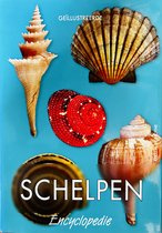 Geillustreerde Schelpen Encyclopedie - Rykel H de Bruyne