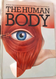 The Human Body - Jonathan Miller, David Pelham