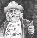 Post Normaal Soloalbum van de frontman van Normaal - Bernard Jolink