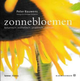 Zonnebloemen - Peter Bauwens